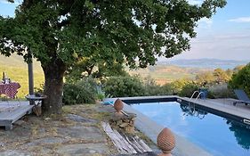 Casa Intera Giardino E Piscina